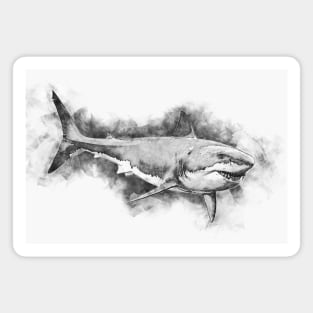 GREAT WHITE SHARK Fine Art Sketch Drawing for the Ocean and Animal Lovers Magnet